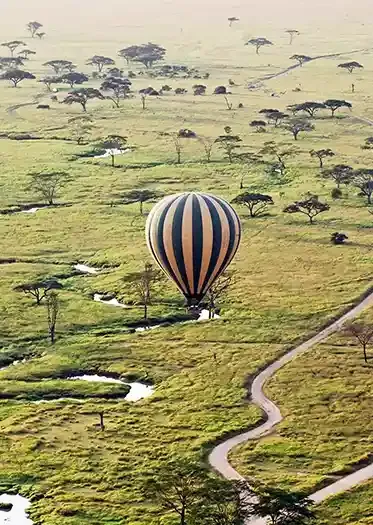 Masai Mara Safari Experiences