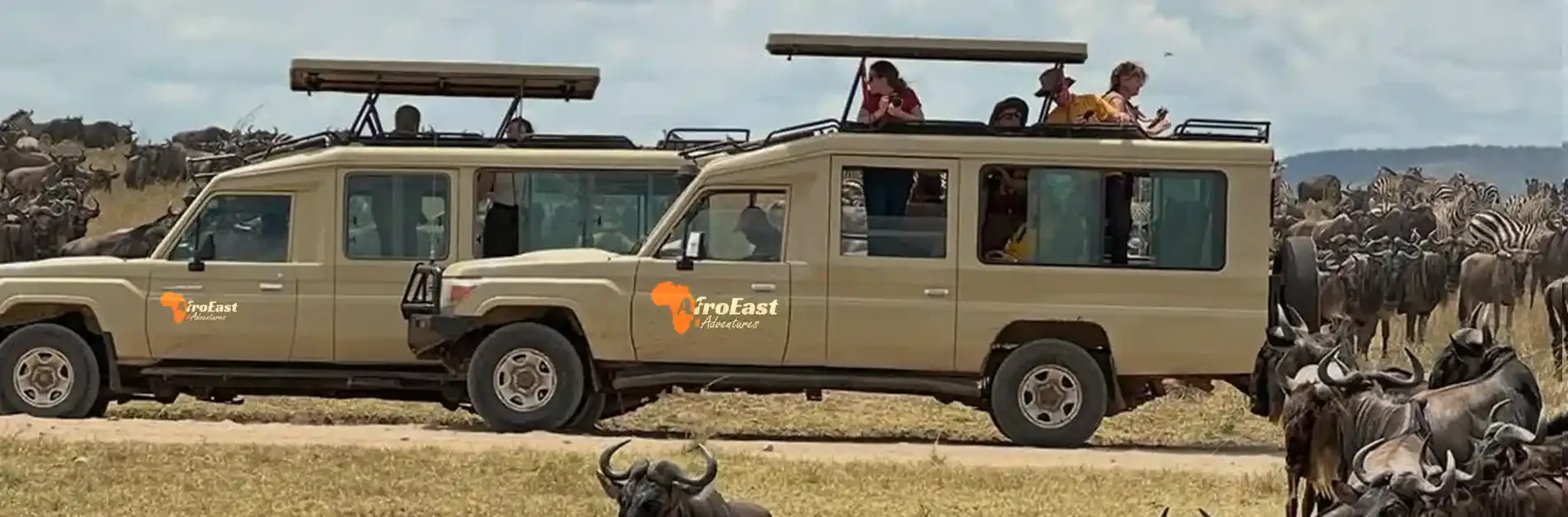 AfroEast Adventures safari vehicles
