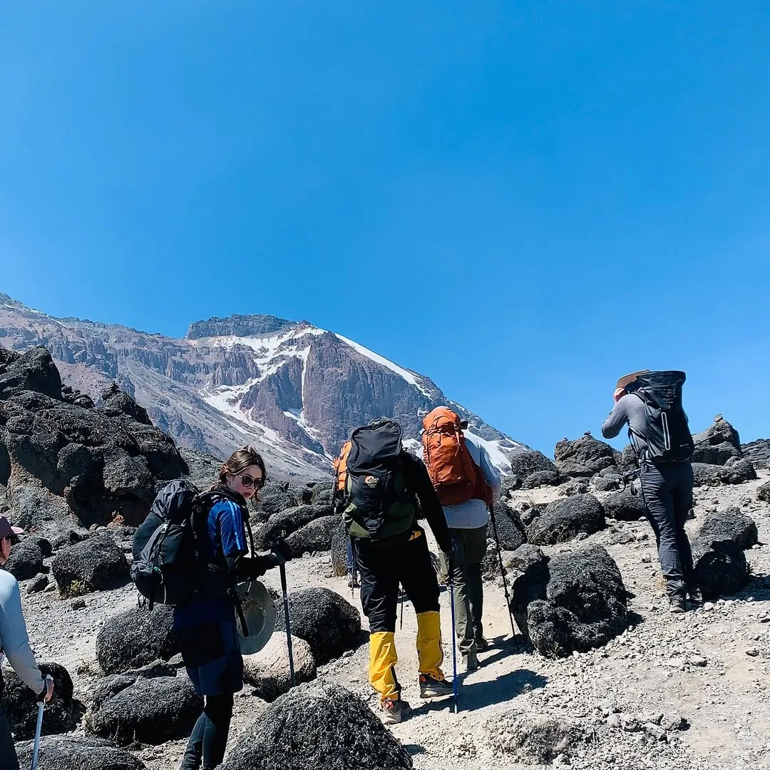 Mount Kilimanjaro trekking in Tanzania