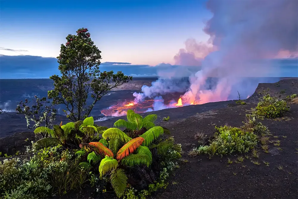 Volcanoes National Park Rwanda