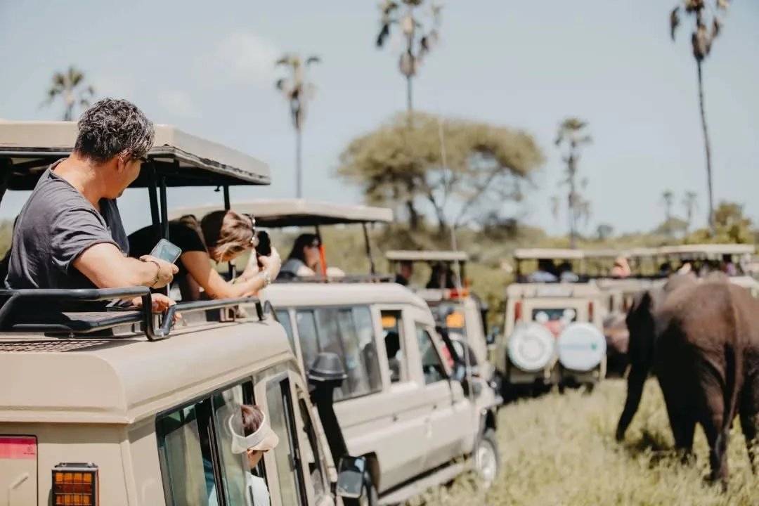 Tarangire National Park Safaris & Elephant Tours