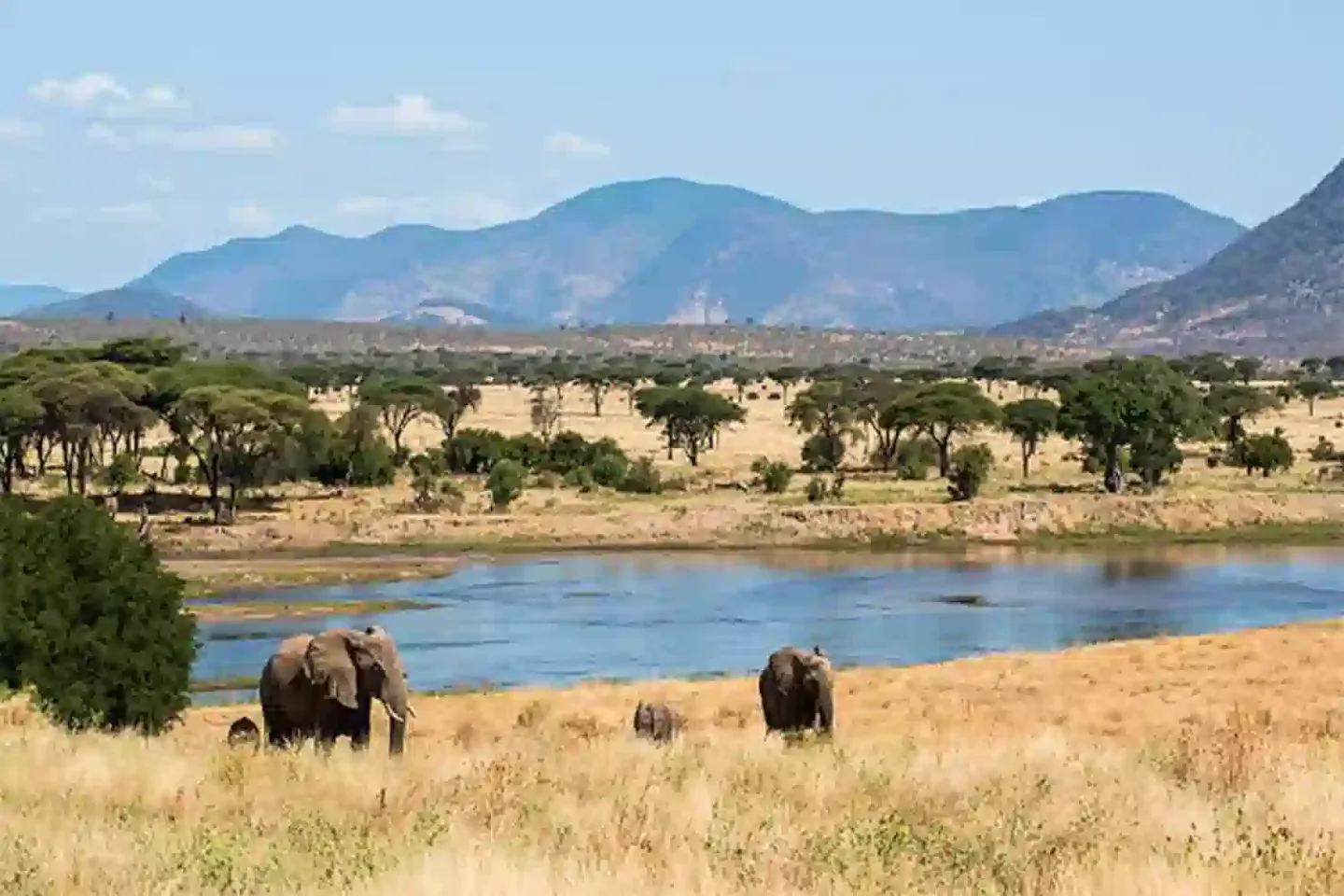 3 days 2 night ruaha national park
