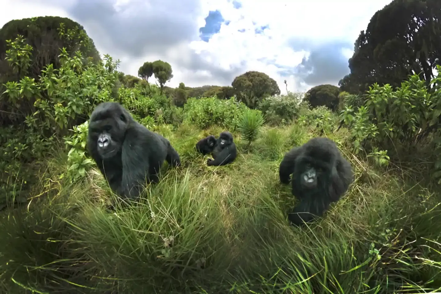 3 days rwanda safari tour package
