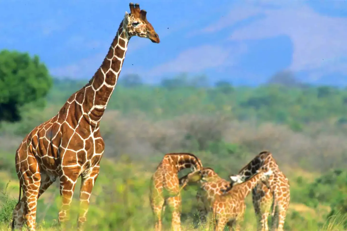 5 day meru tour