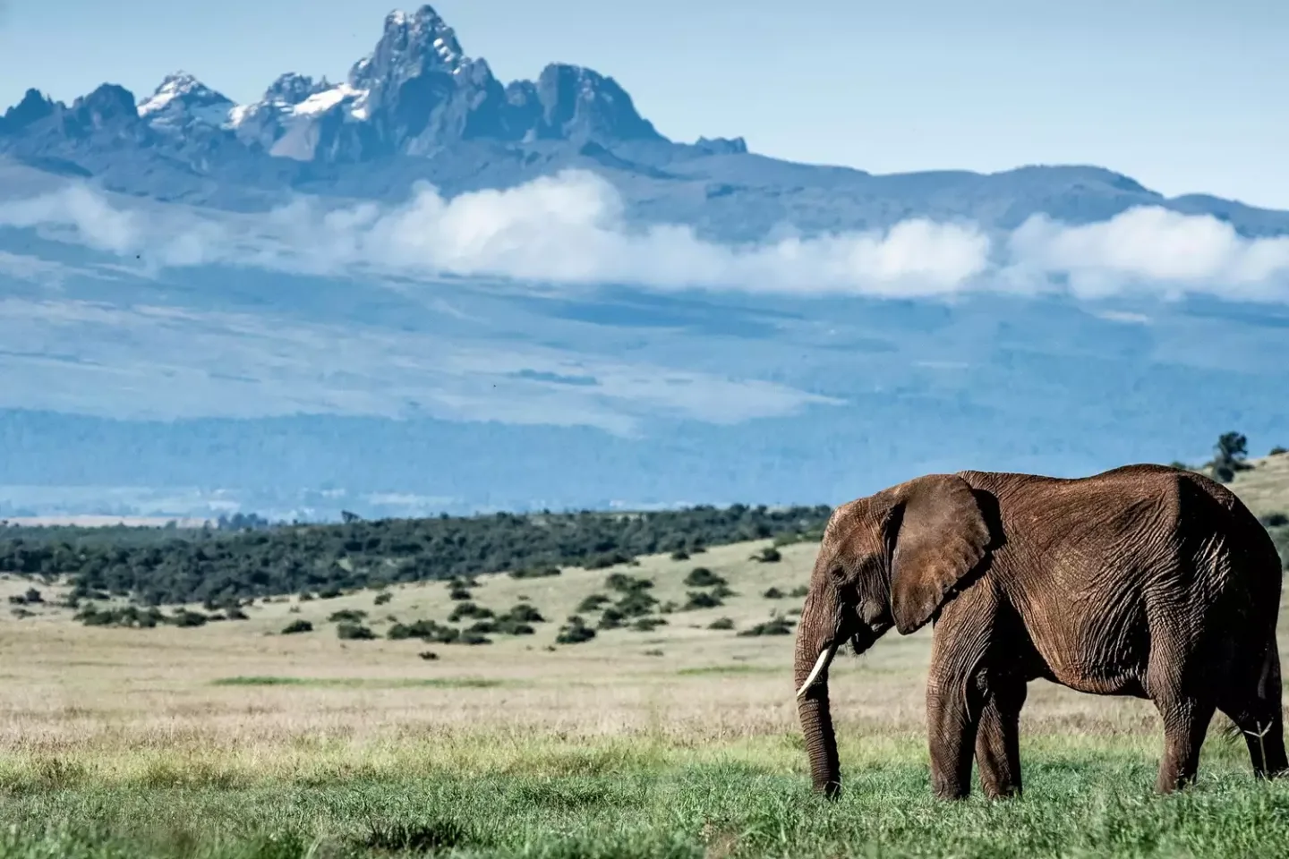 5 day mount kenya tour