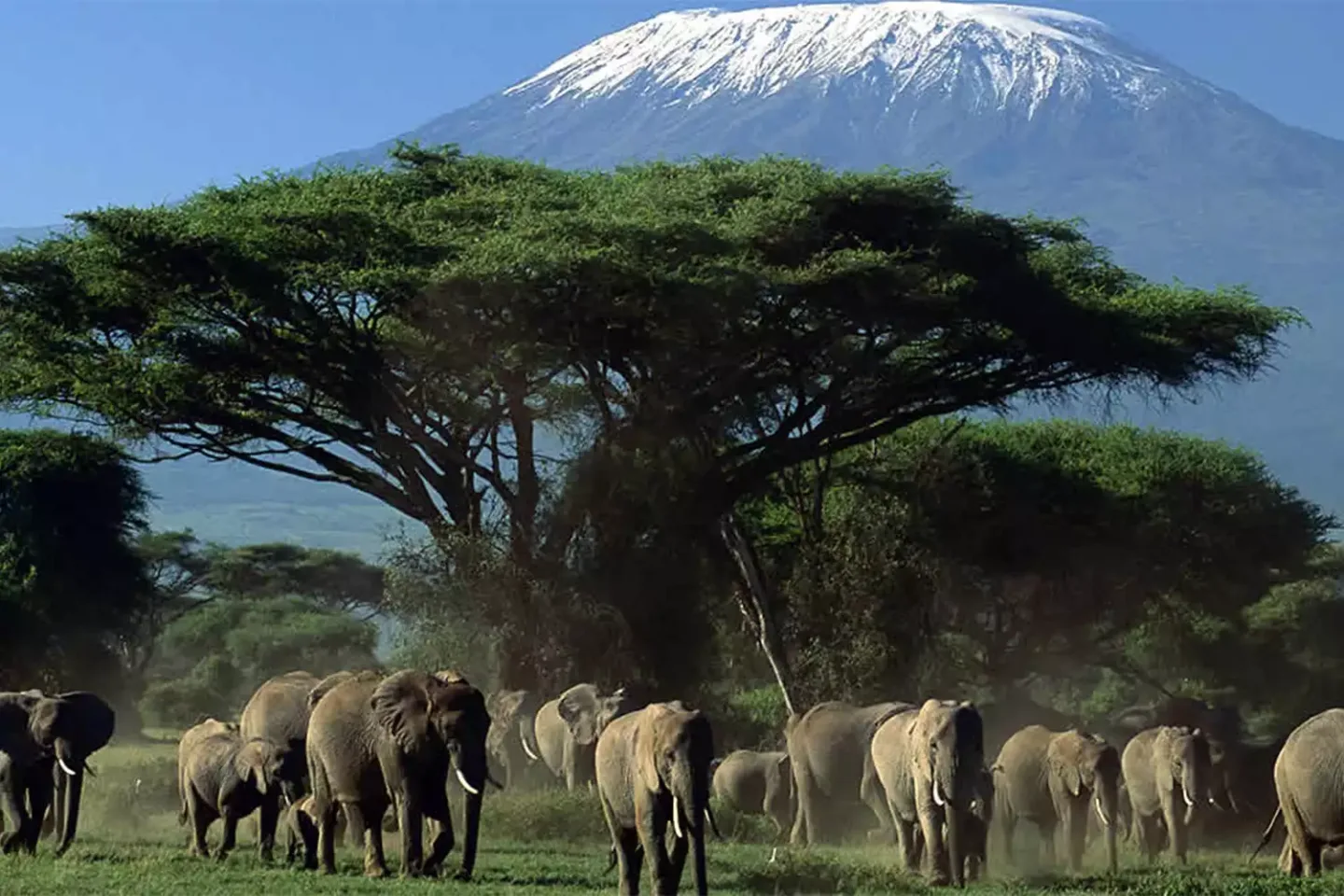 amboseli national park tour