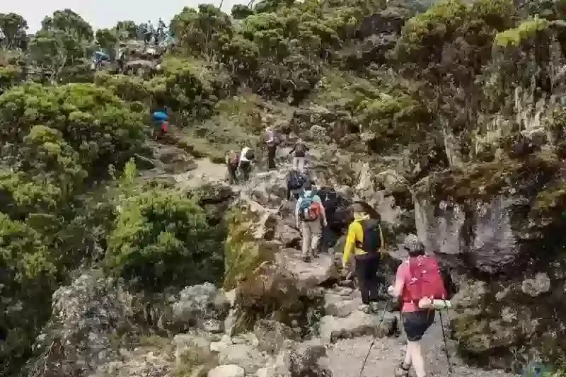 mount kilimanjaro machame 800