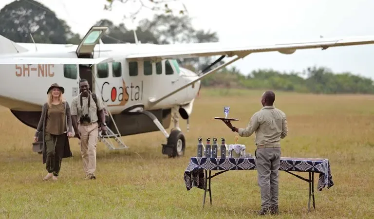 serengeti family fly in