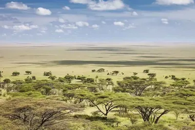 serengeti park plains 400