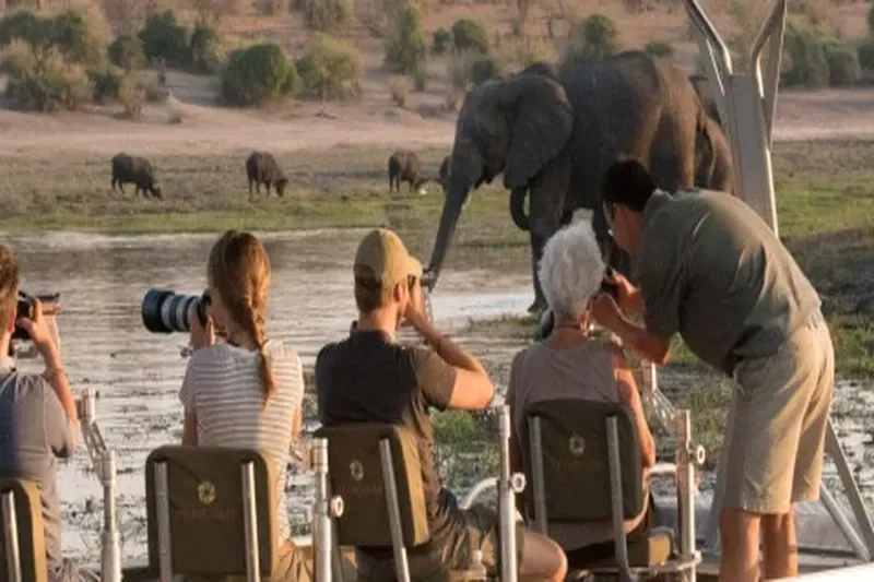 Tanzania photography safar 800
