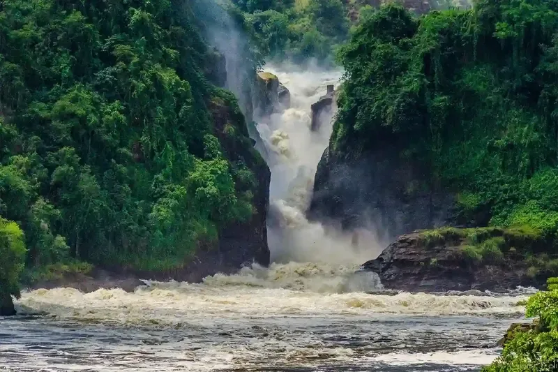 the ultimate 5 day uganda safari tour 800