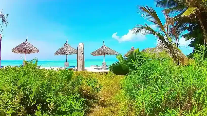 top zanzibar hotels resorts 6