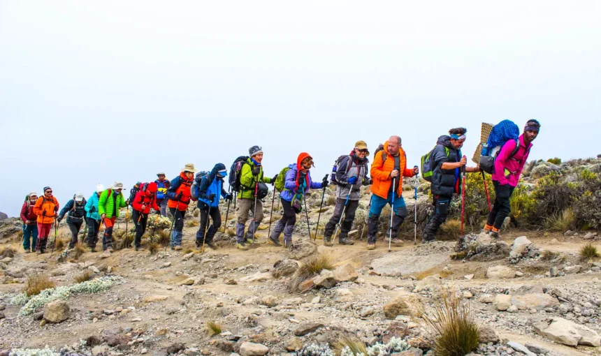 6 Days Kilimanjaro Machame Route Climb