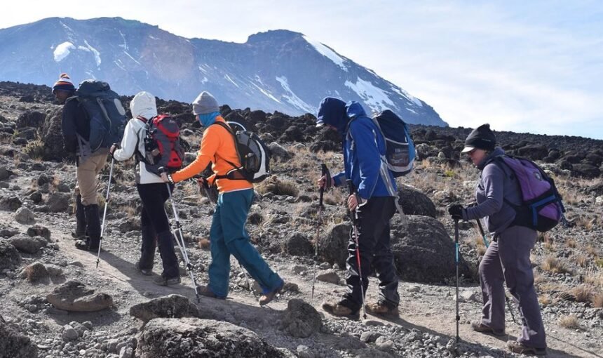 7 Days Kilimanjaro Climb – Lemosho Route