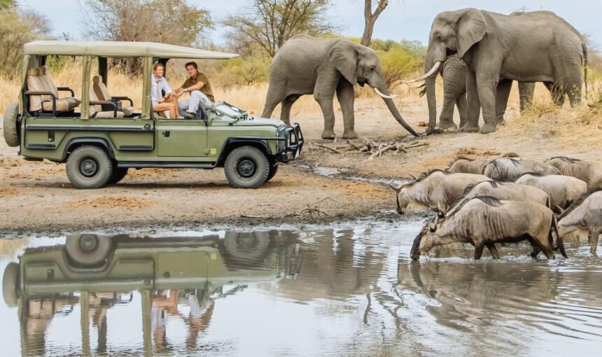 Lake Manyara National Park Day Tour