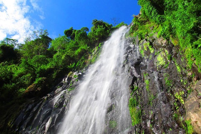 Materuni Waterfall Day Trip