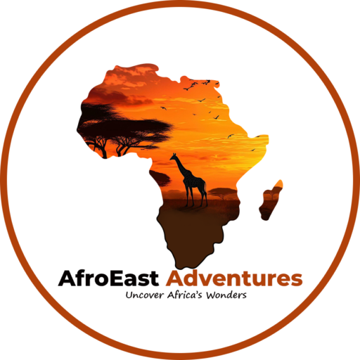 AfroEast Adventures